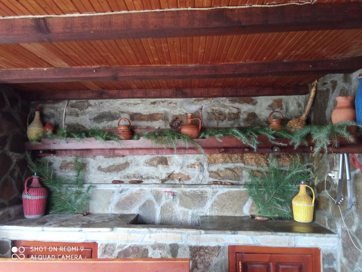 Дядо Цоньовата Къща Villa Sevlievo Exterior photo